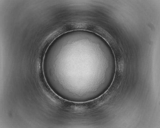 X0000110910733200906181342