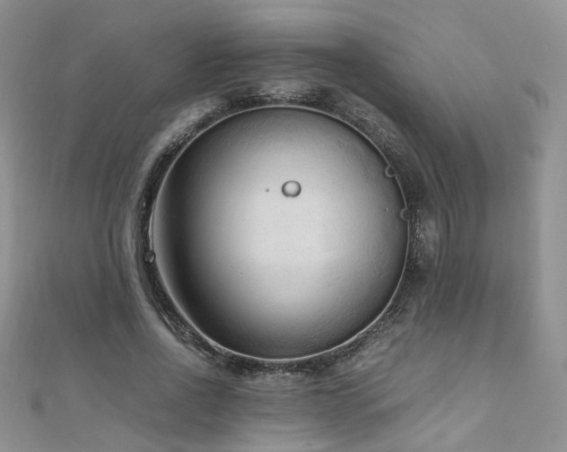 X0000110910734200906181342