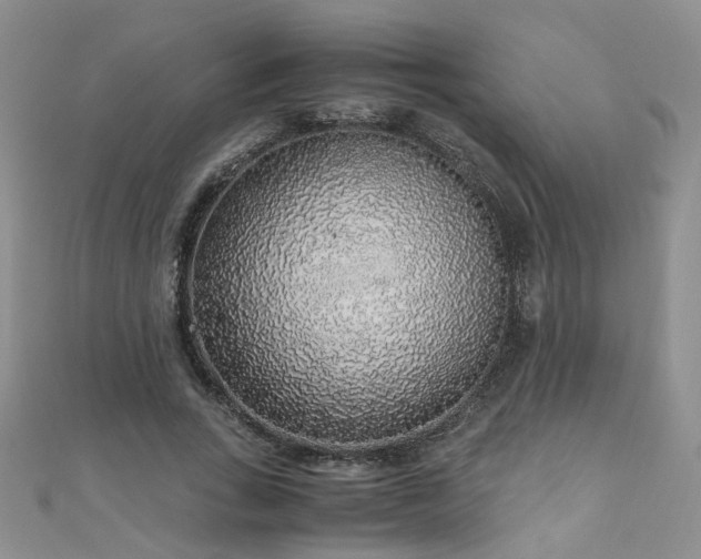 X0000110910735200906181342