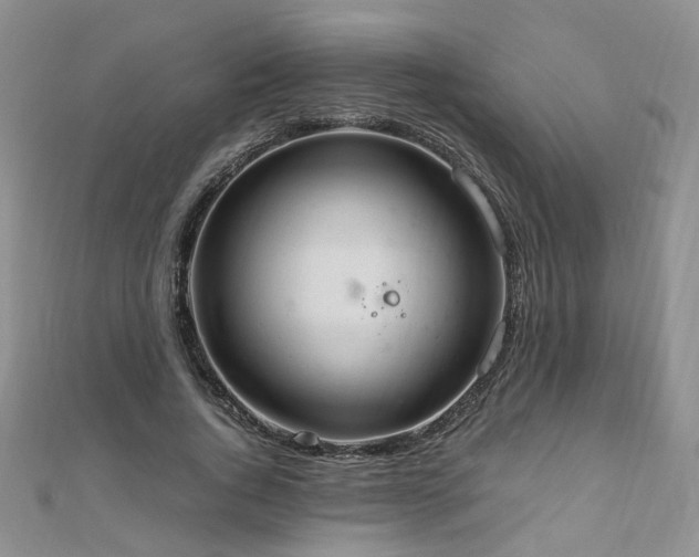 X0000110910736200906181342