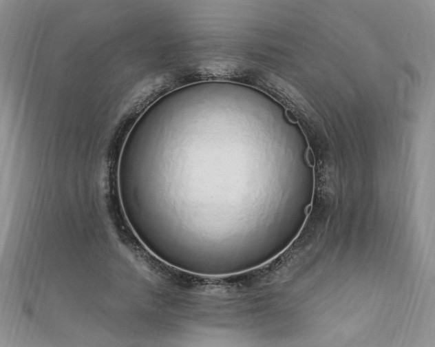 X0000110910738200906181342