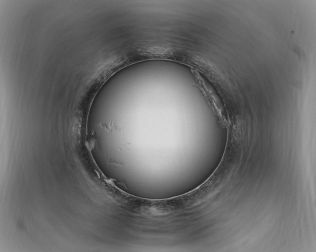 X0000110910739200906181342