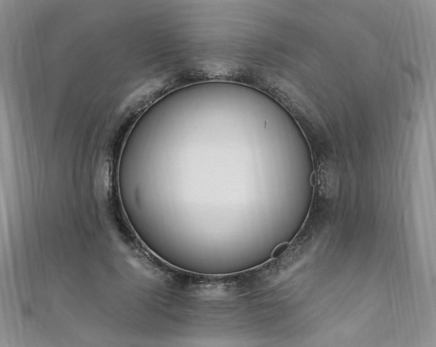 X0000110910740200906181343