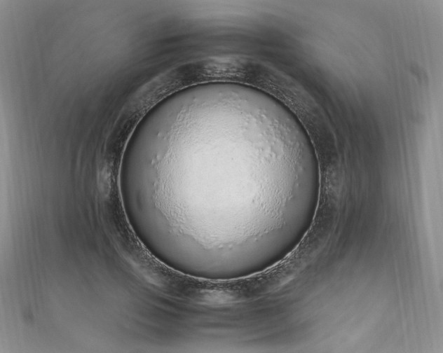 X0000110910741200906181343