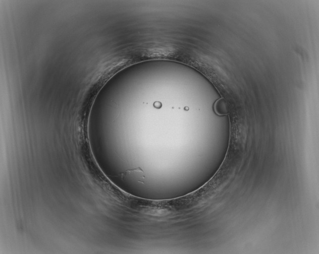 X0000110910743200906181343