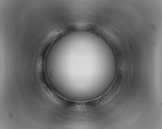 X0000110910744200906181343