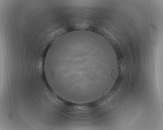 X0000110910745200906181343