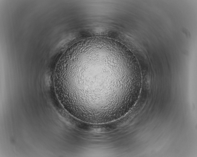 X0000110910746200906181343