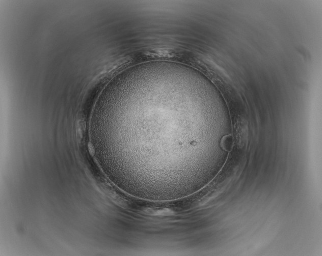 X0000110910747200906181343