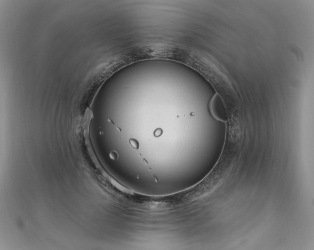 X0000110910748200906181343