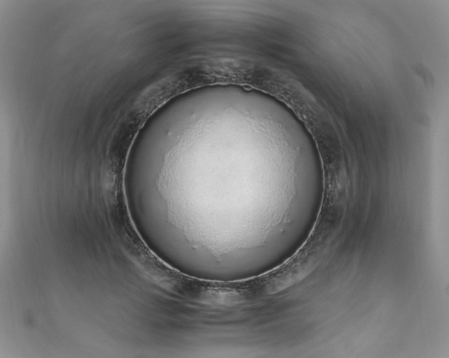 X0000110910749200906181343