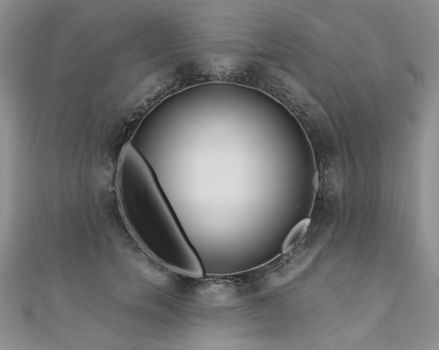 X0000110910750200906181343