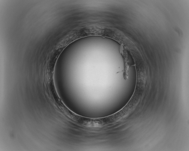 X0000110910751200906181343