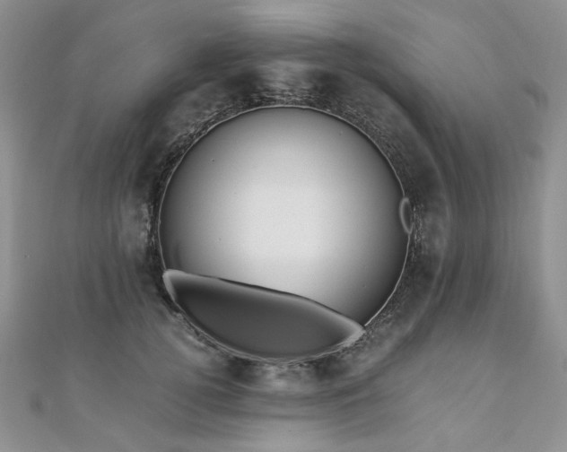 X0000110910752200906181343