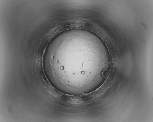 X0000110910753200906181343