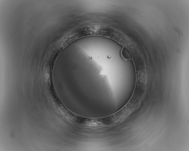 X0000110910754200906181343