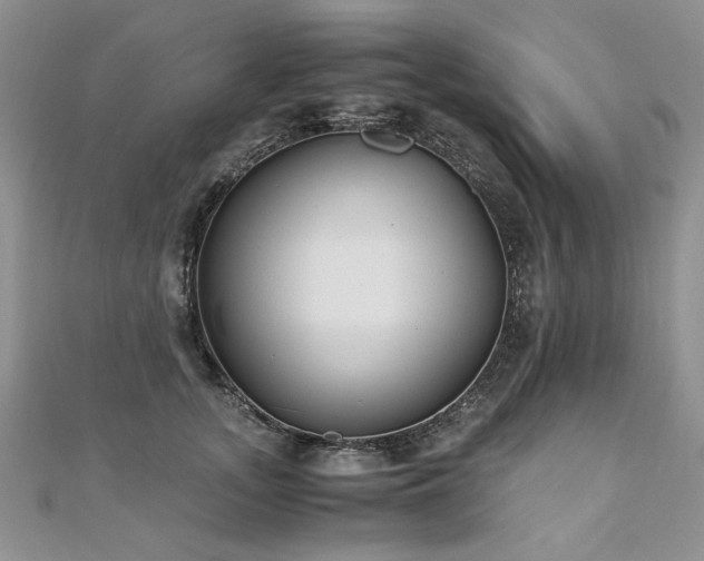 X0000110910755200906181343