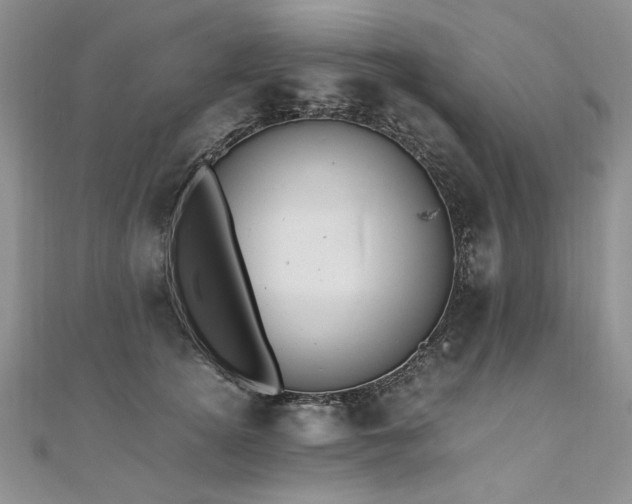 X0000110910756200906181343