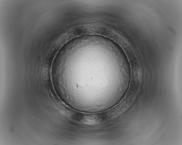 X0000110910757200906181343