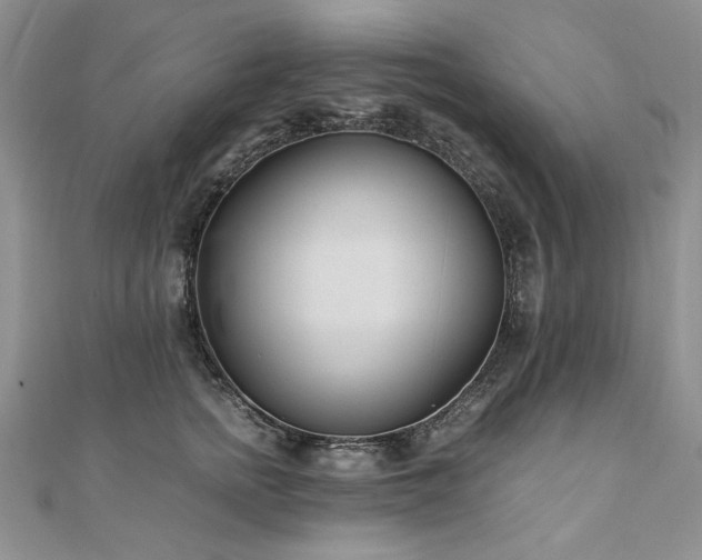 X0000110910758200906181343