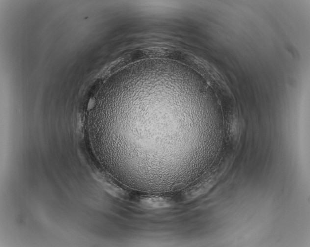 X0000110910759200906181343