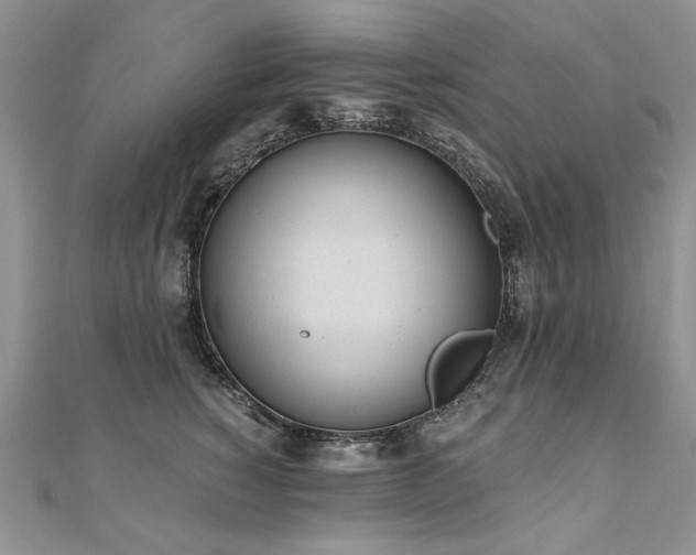 X0000110910760200906181343