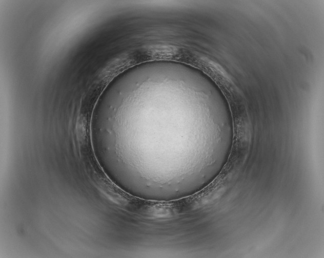 X0000110910761200906181343