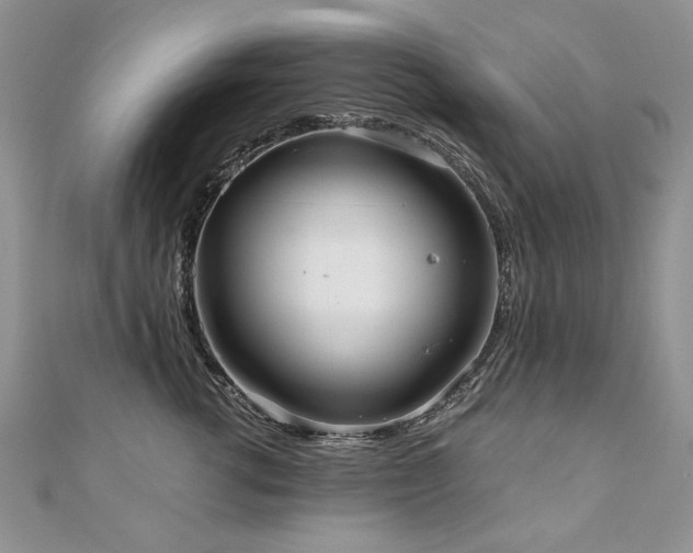 X0000110910762200906181343