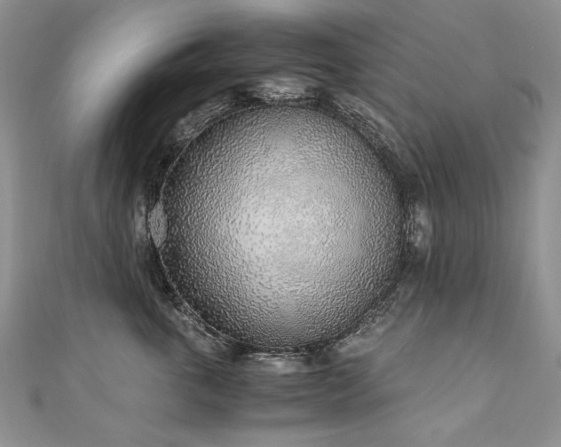 X0000110910763200906181343