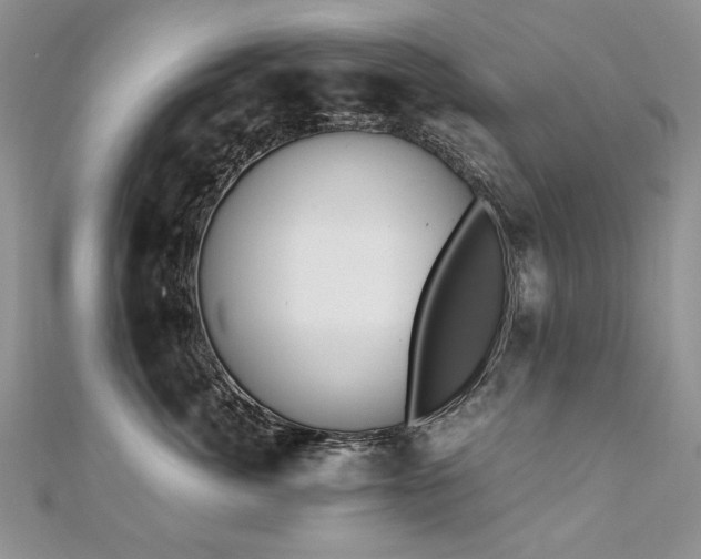 X0000110910764200906181343