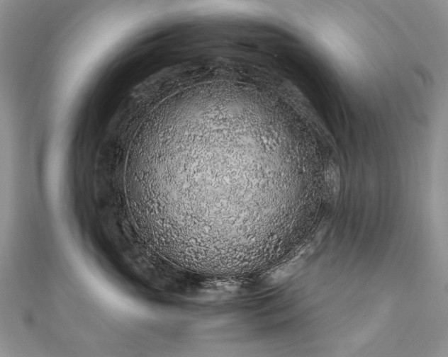 X0000110910765200906181343