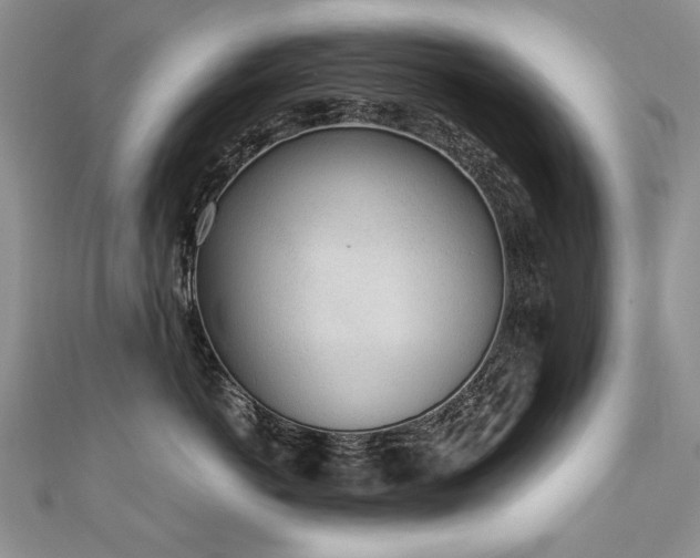 X0000110910766200906181343