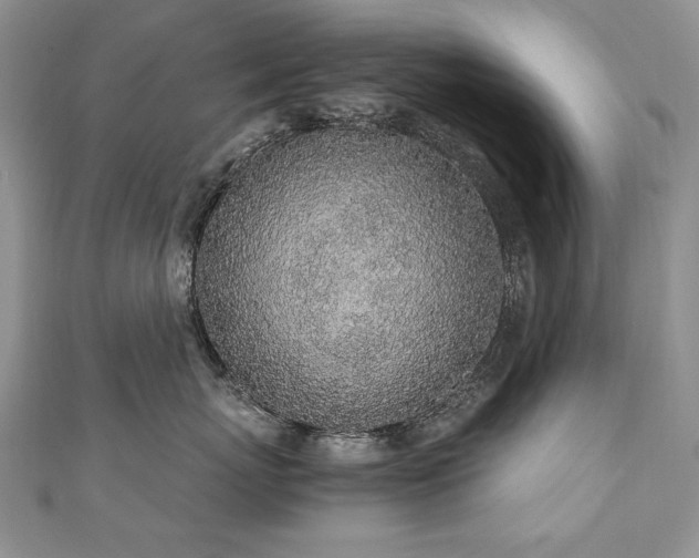 X0000110910767200906181343