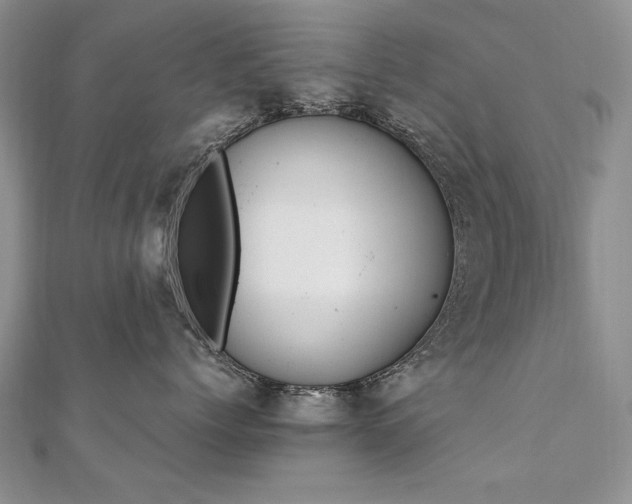 X0000110910768200906181343