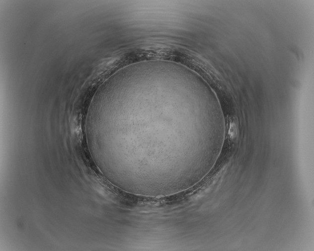 X0000110910771200906181342