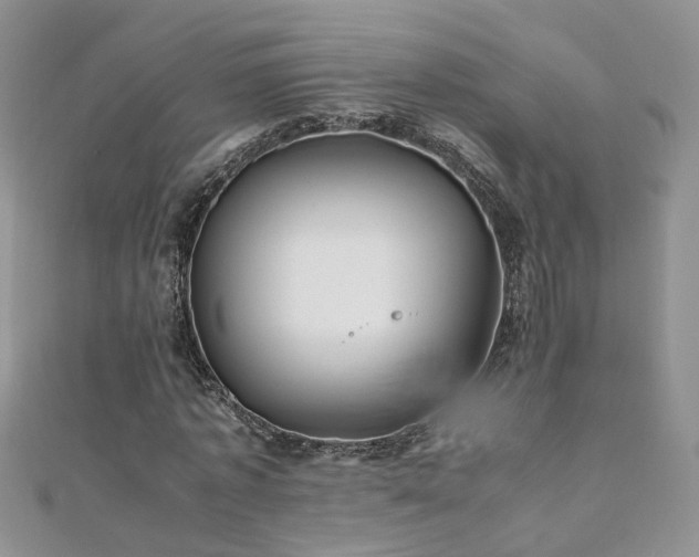 X0000110910773200906181342