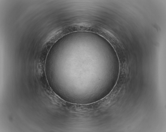 X0000110910774200906181342