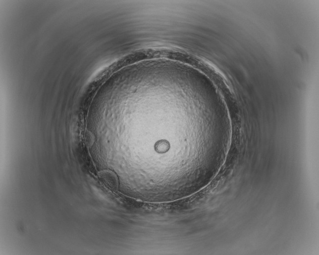 X0000110910775200906181342