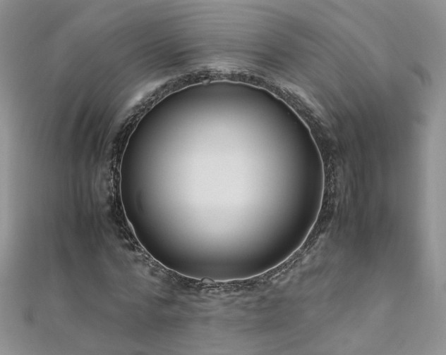 X0000110910776200906181342