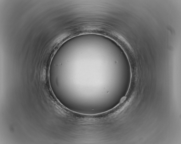 X0000110910777200906181342