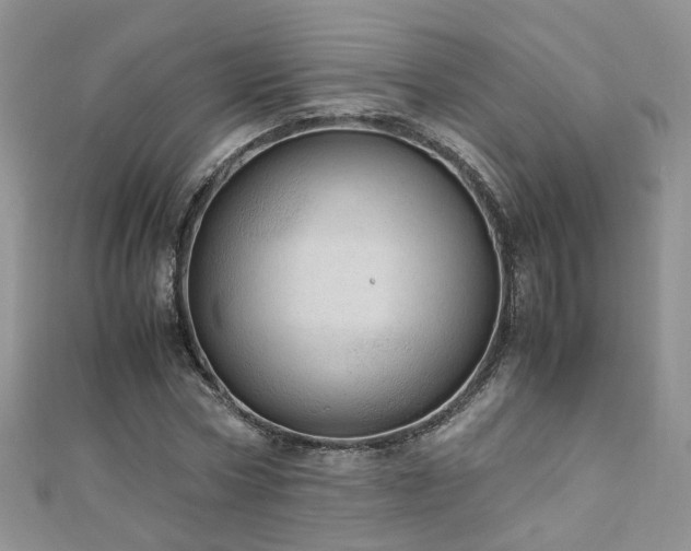 X0000110910778200906181342