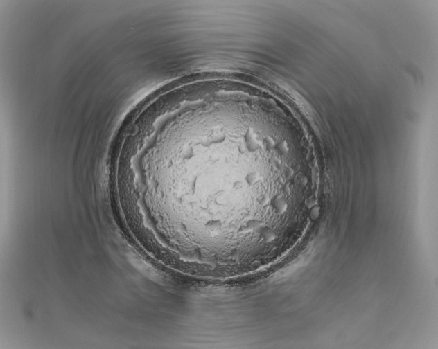 X0000110910779200906181342