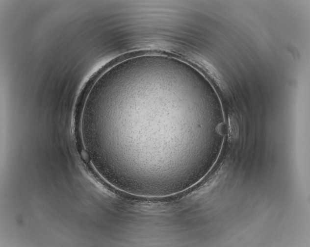 X0000110910780200906181342