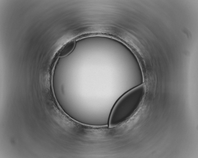 X0000110910781200906181342