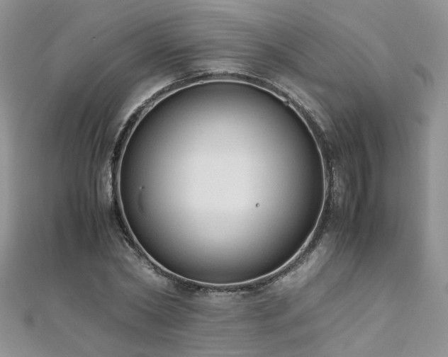 X0000110910782200906181342