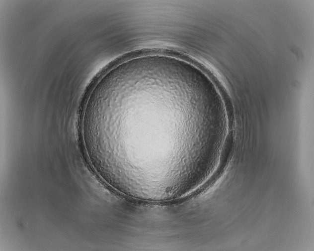 X0000110910783200906181342