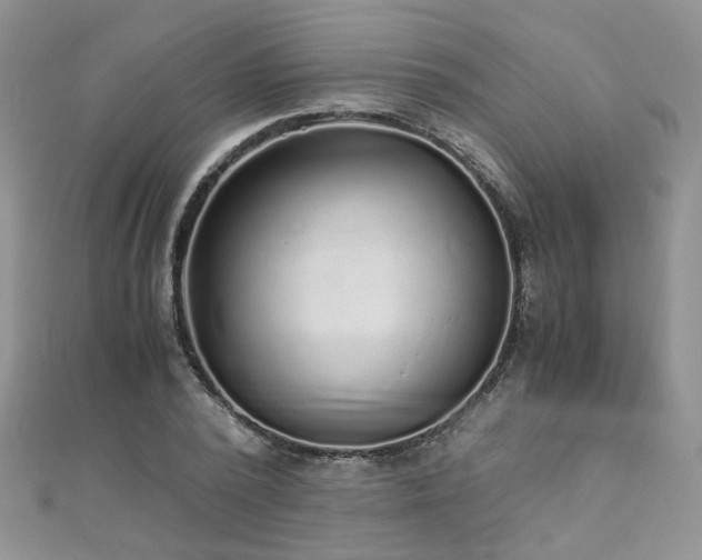 X0000110910784200906181342