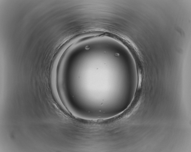 X0000110910785200906181342