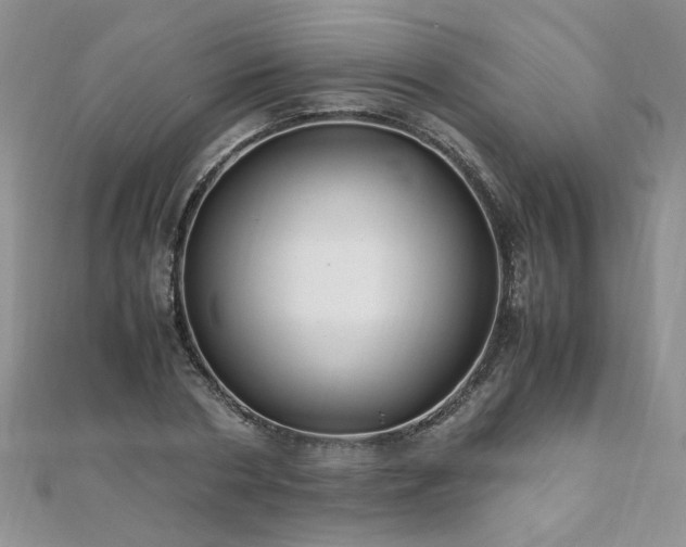 X0000110910786200906181342