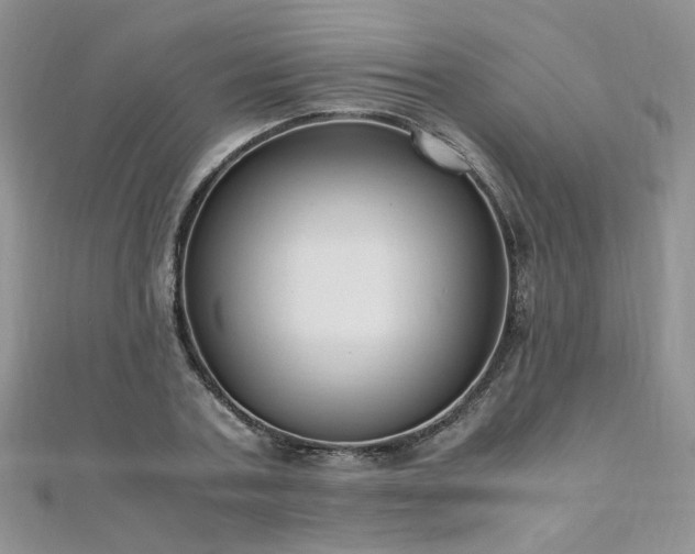 X0000110910787200906181342